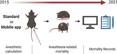A Smartphone App for Individual Xylazine/Ketamine Calculation Decreased Anesthesia-Related Mortality in Mice